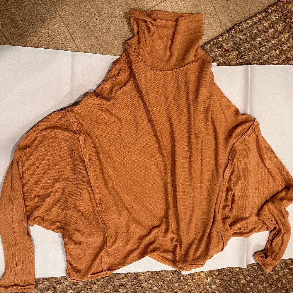 Free People Sweater / Turtleneck